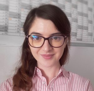 software developer absolvent wantsome 